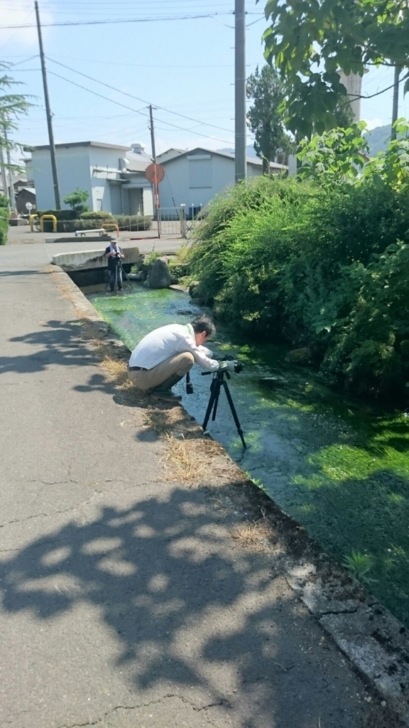 f:id:yanchiyamaru:20180716213137j:plain f:id:yanchiyamaru:20180716213137j:plain