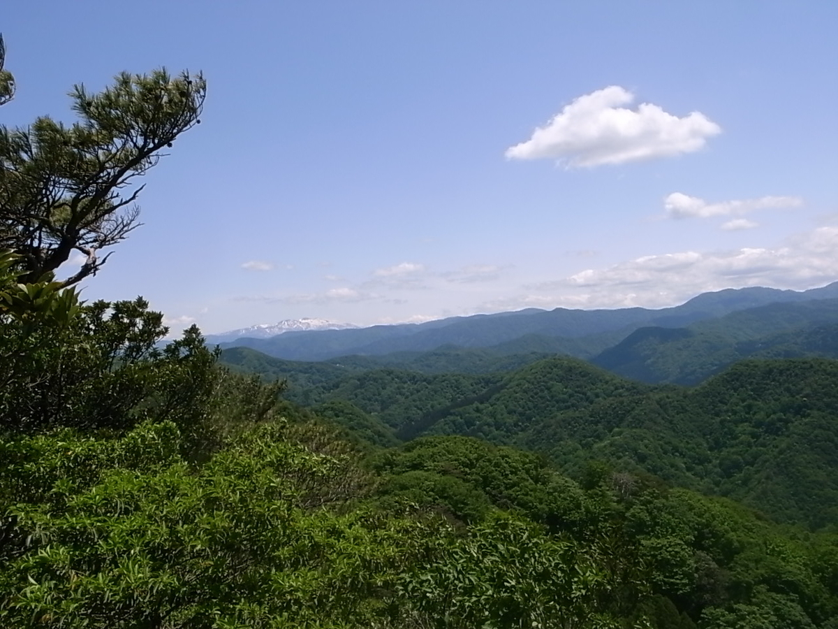 f:id:yancho653:20200524192454j:plain