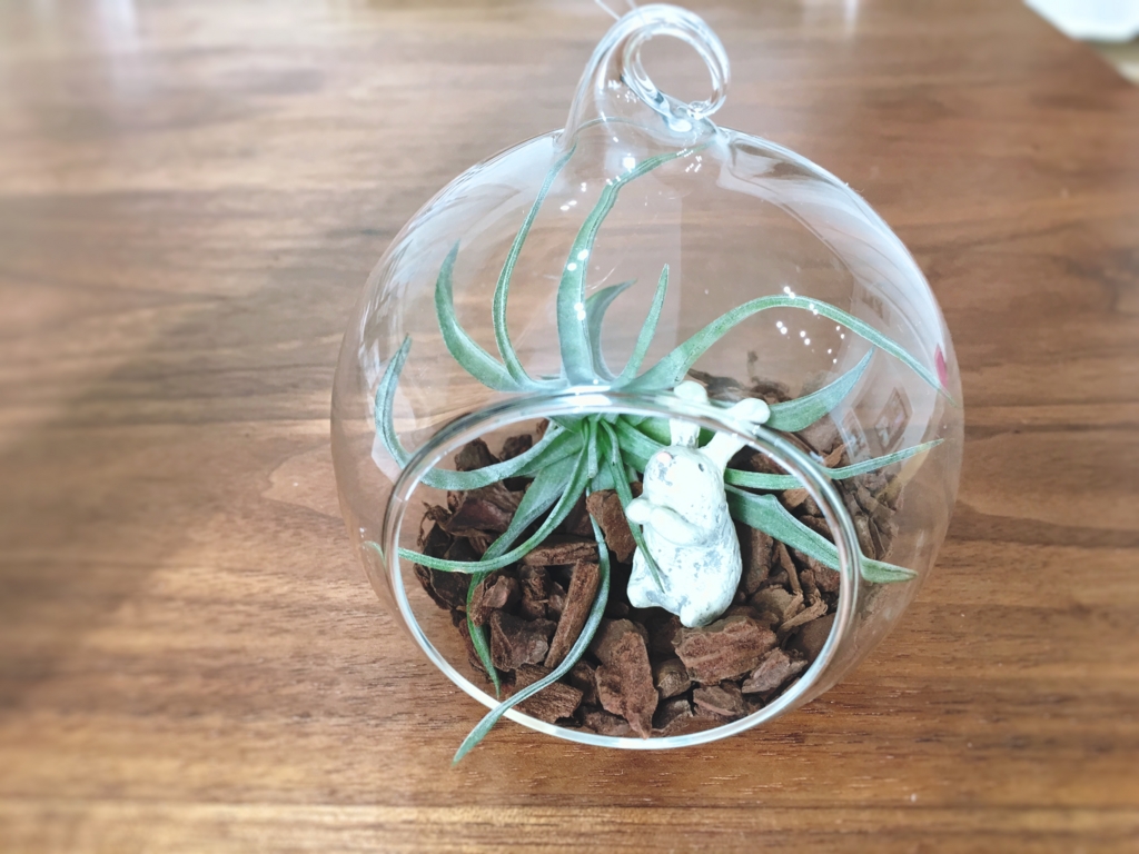 f:id:yanebon:20170124222402j:plain