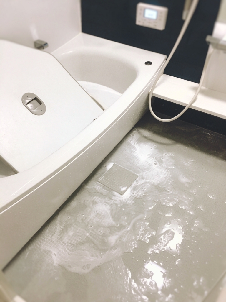 f:id:yanebon:20170815212023j:plain