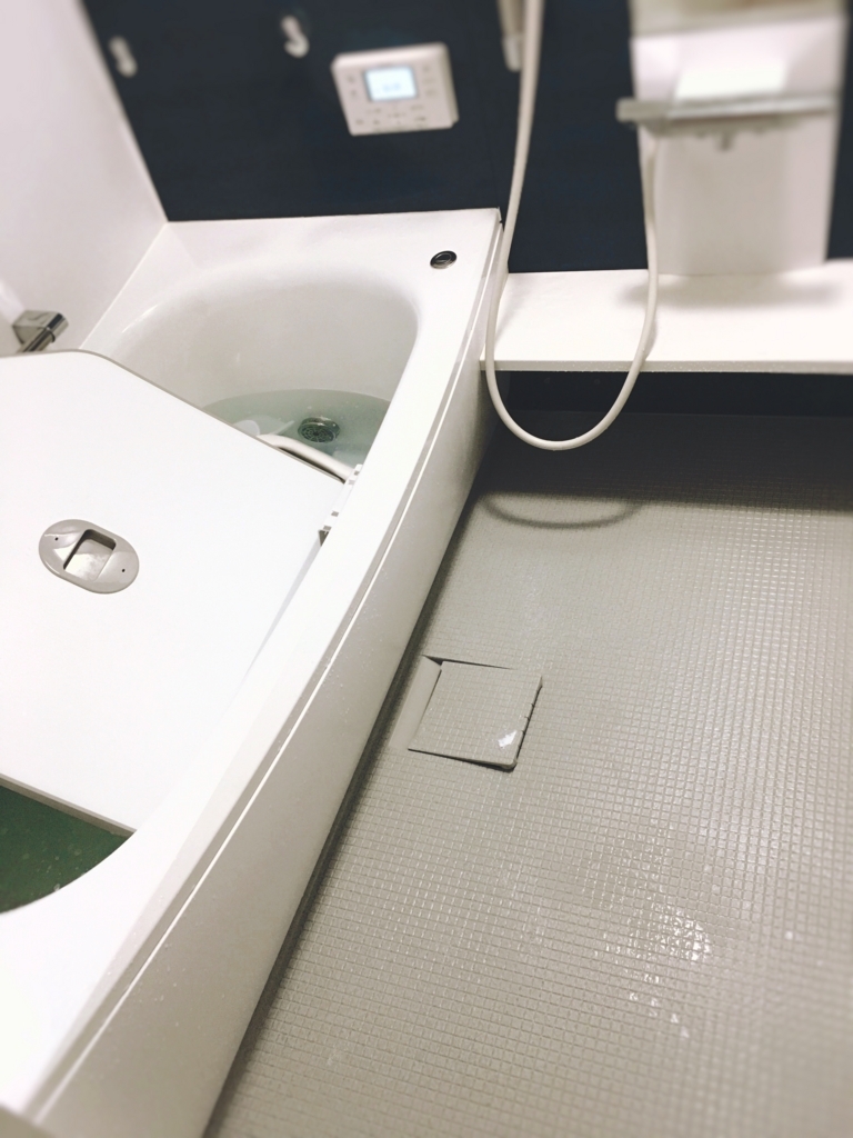 f:id:yanebon:20170815212204j:plain