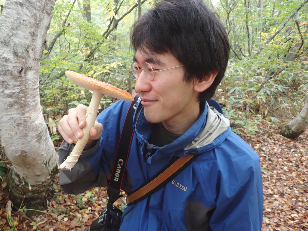 f:id:yanenouenomushi:20161013013649j:plain f:id:yanenouenomushi:20161013013649j:plain