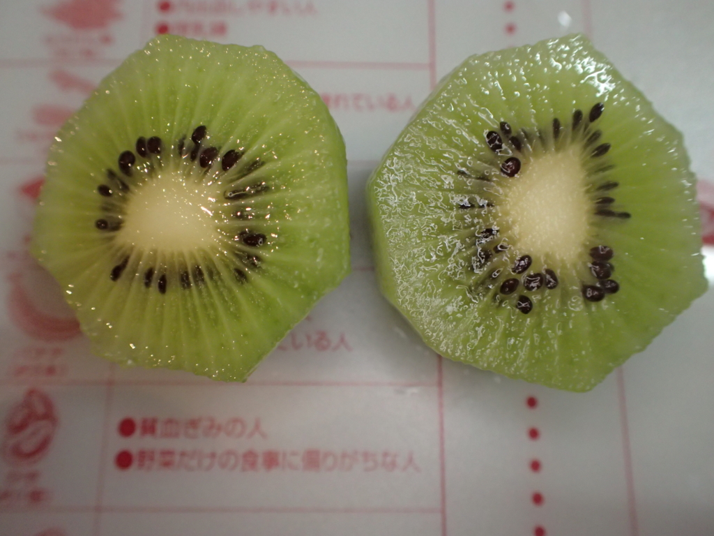 f:id:yanenouenomushi:20170111040055j:plain