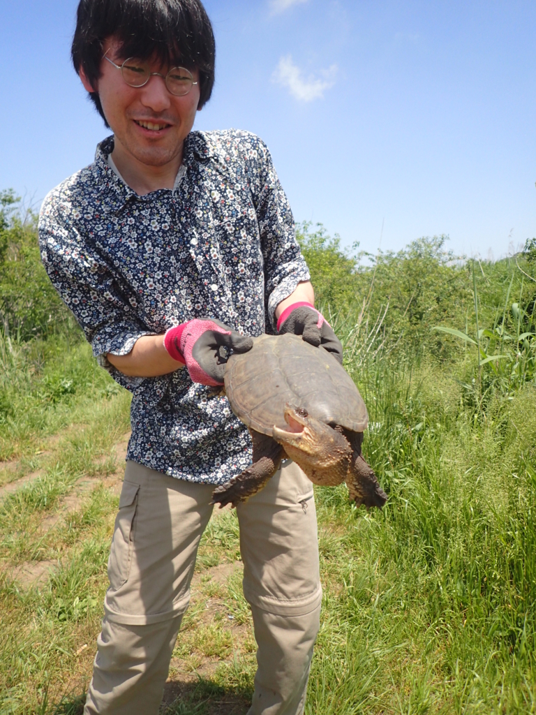 f:id:yanenouenomushi:20170513140648j:plain f:id:yanenouenomushi:20170513140648j:plain