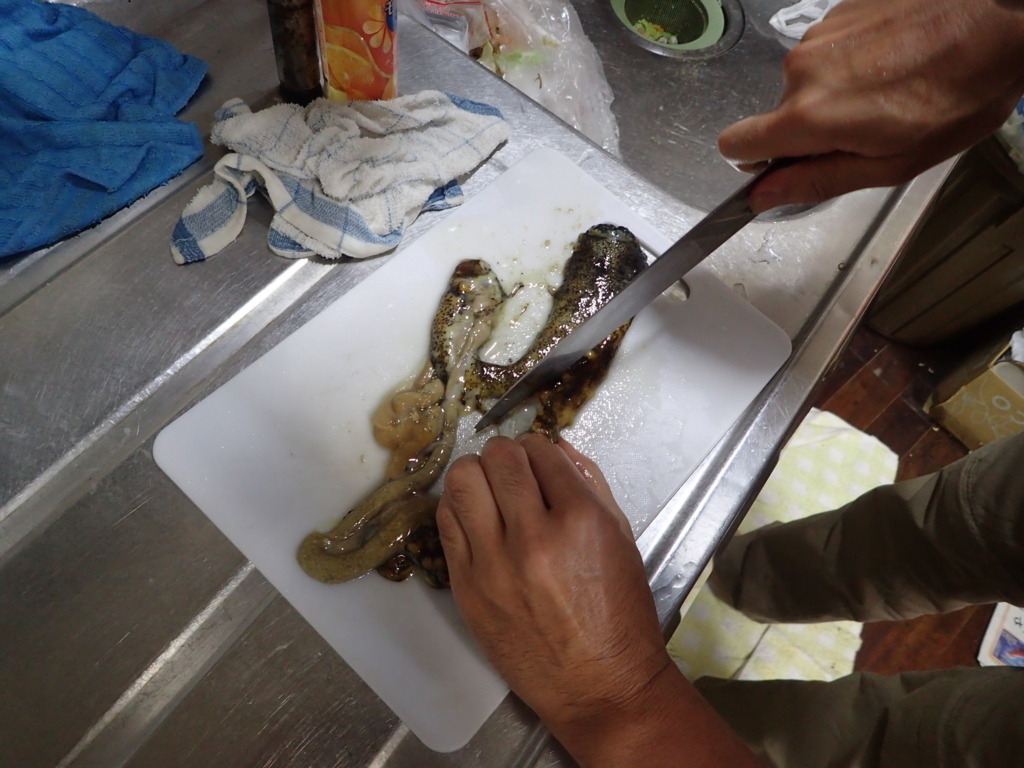 f:id:yanenouenomushi:20170612191242j:plain