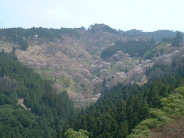 吉野遠景