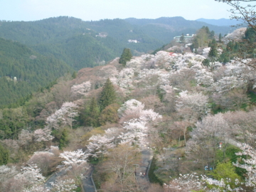 吉野遠景再び