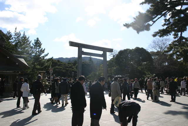 f:id:yaneshin:20090124114350j:plain:w160