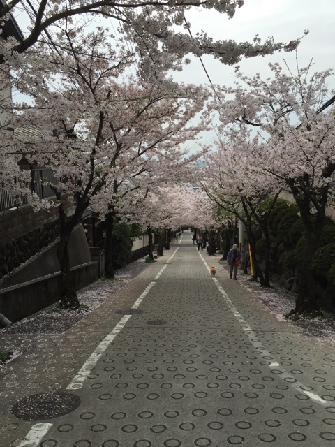 f:id:yaneshin:20150405205250j:plain