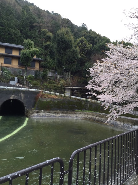 f:id:yaneshin:20150405205607j:plain