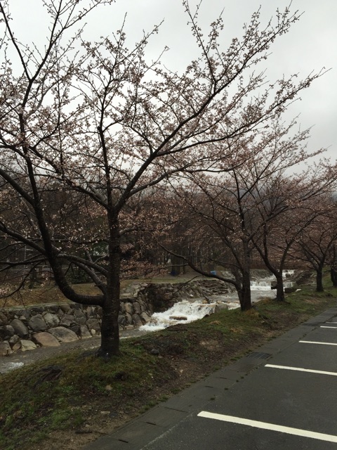f:id:yaneshin:20150405210152j:plain