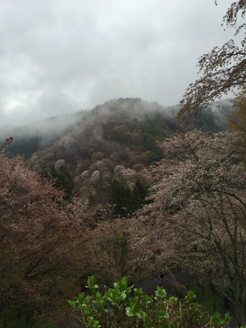 f:id:yaneshin:20150411220227j:plain
