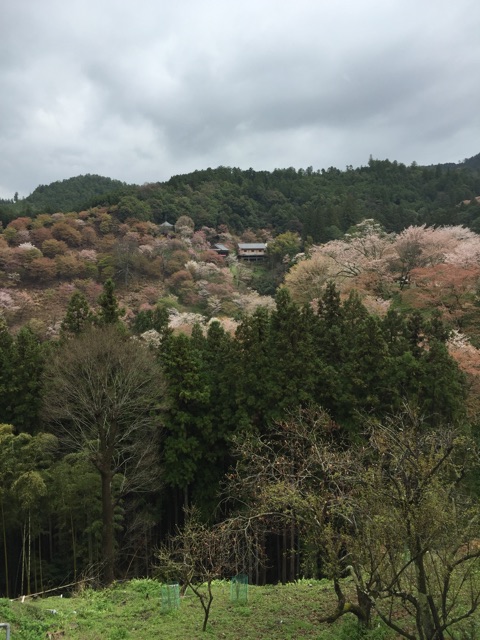 f:id:yaneshin:20150411221717j:plain