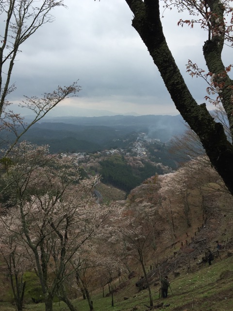 f:id:yaneshin:20150411221746j:plain