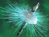 f:id:yaneshin:20150727051946j:plain