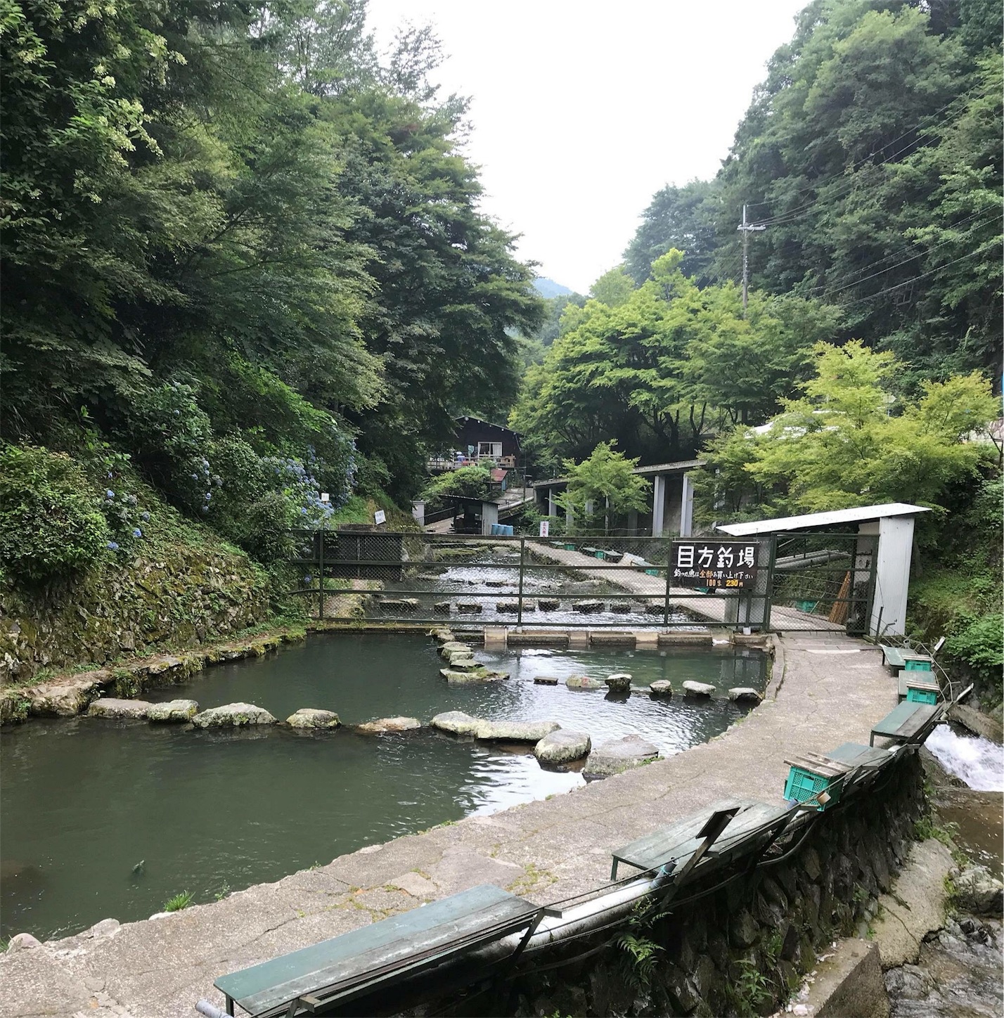 千早川マス釣り場2 千早川マス釣り場2