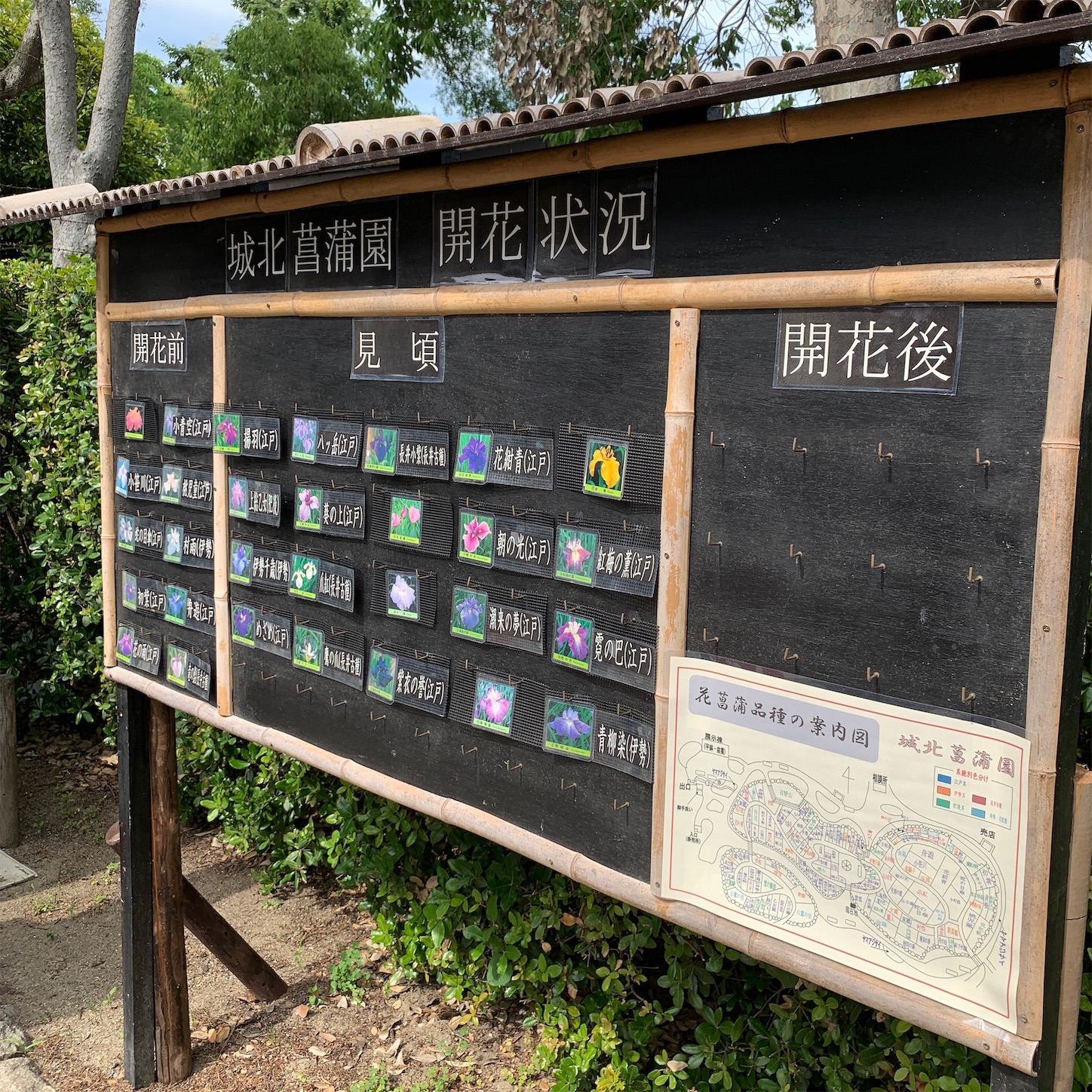 城北菖蒲園