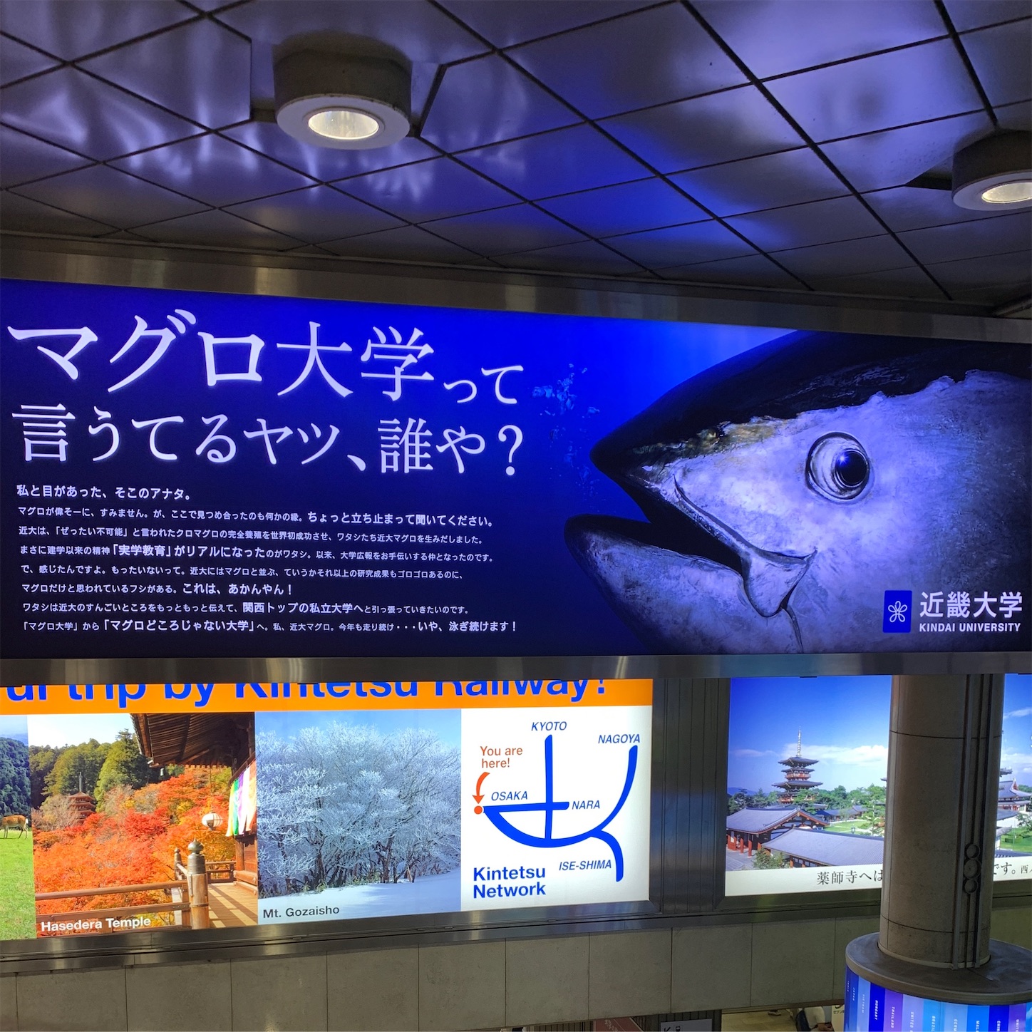 大阪難波駅の近畿大学の広告