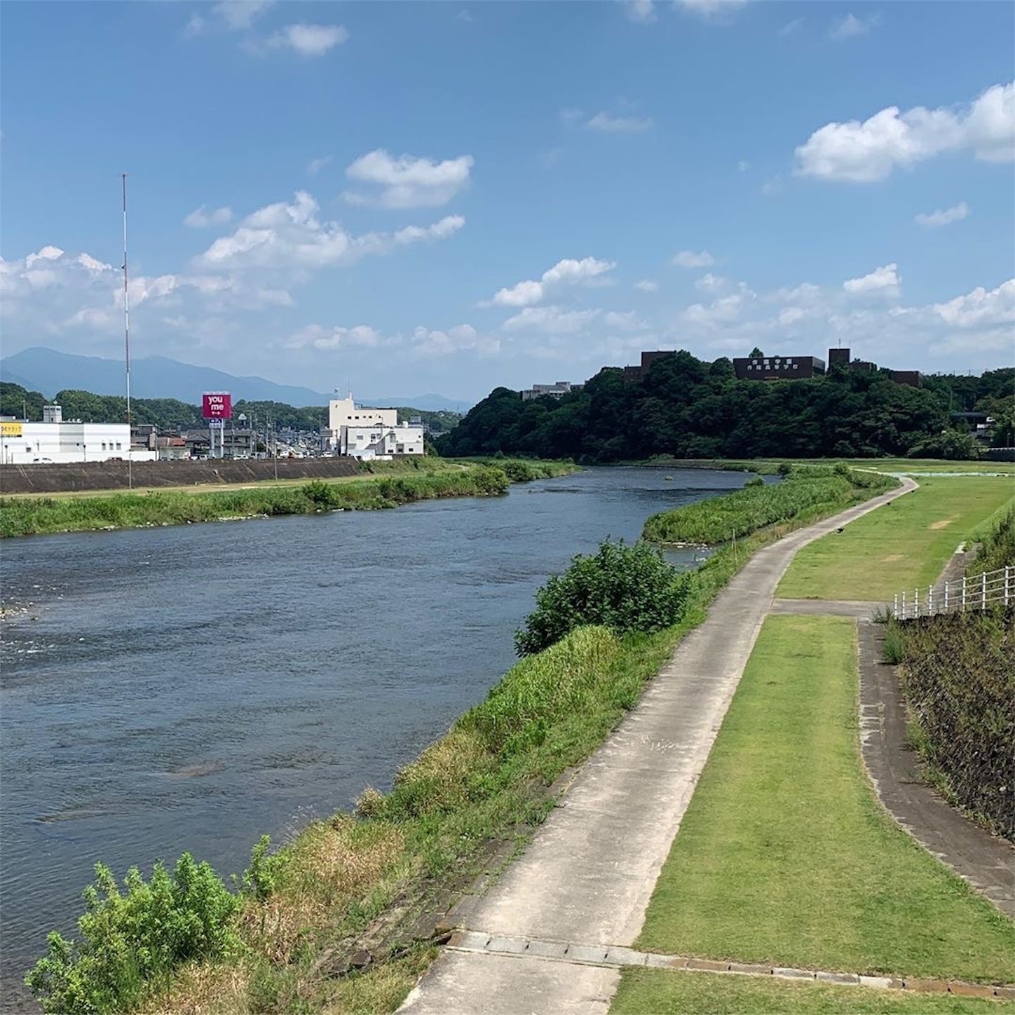 吉井川
