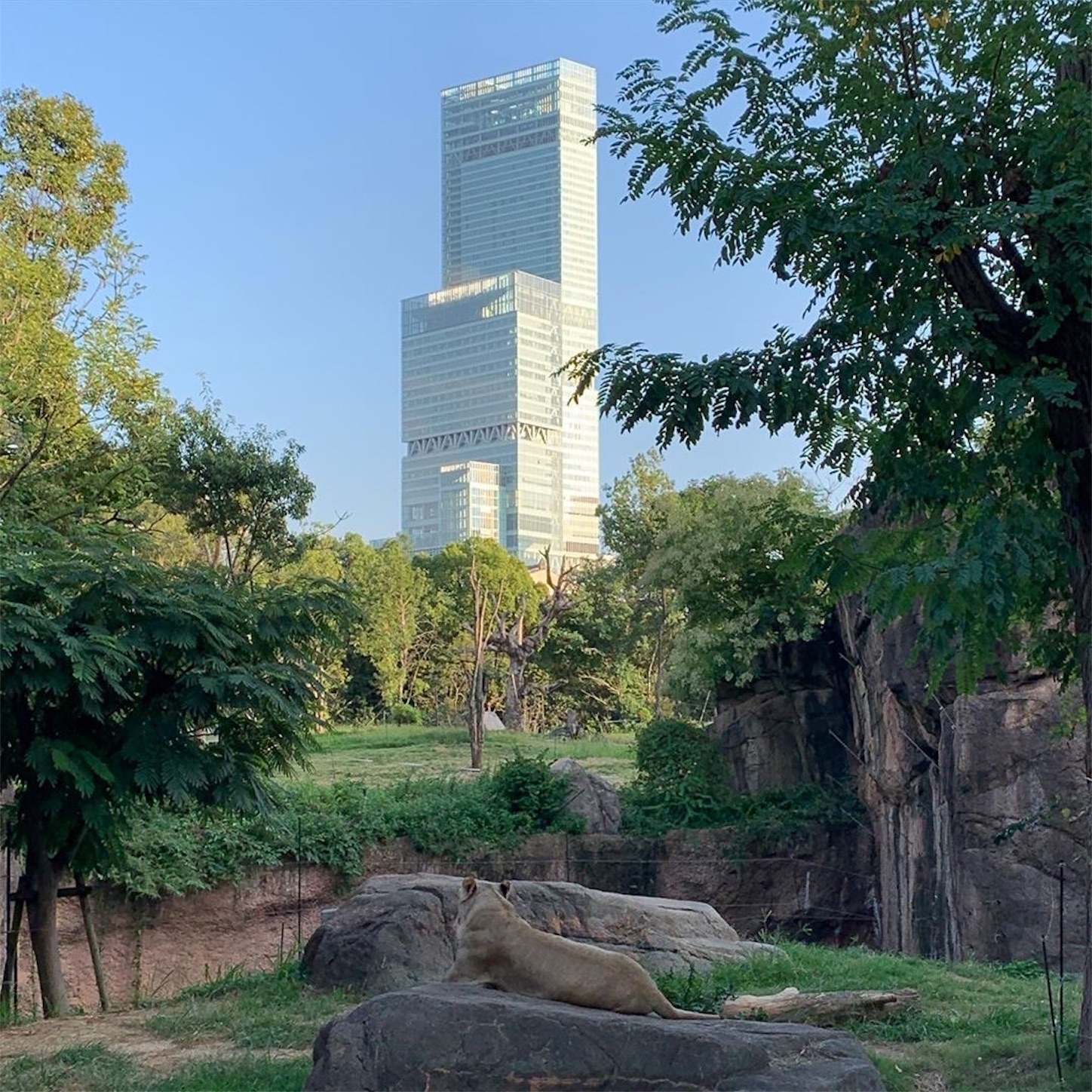 天王寺動物園