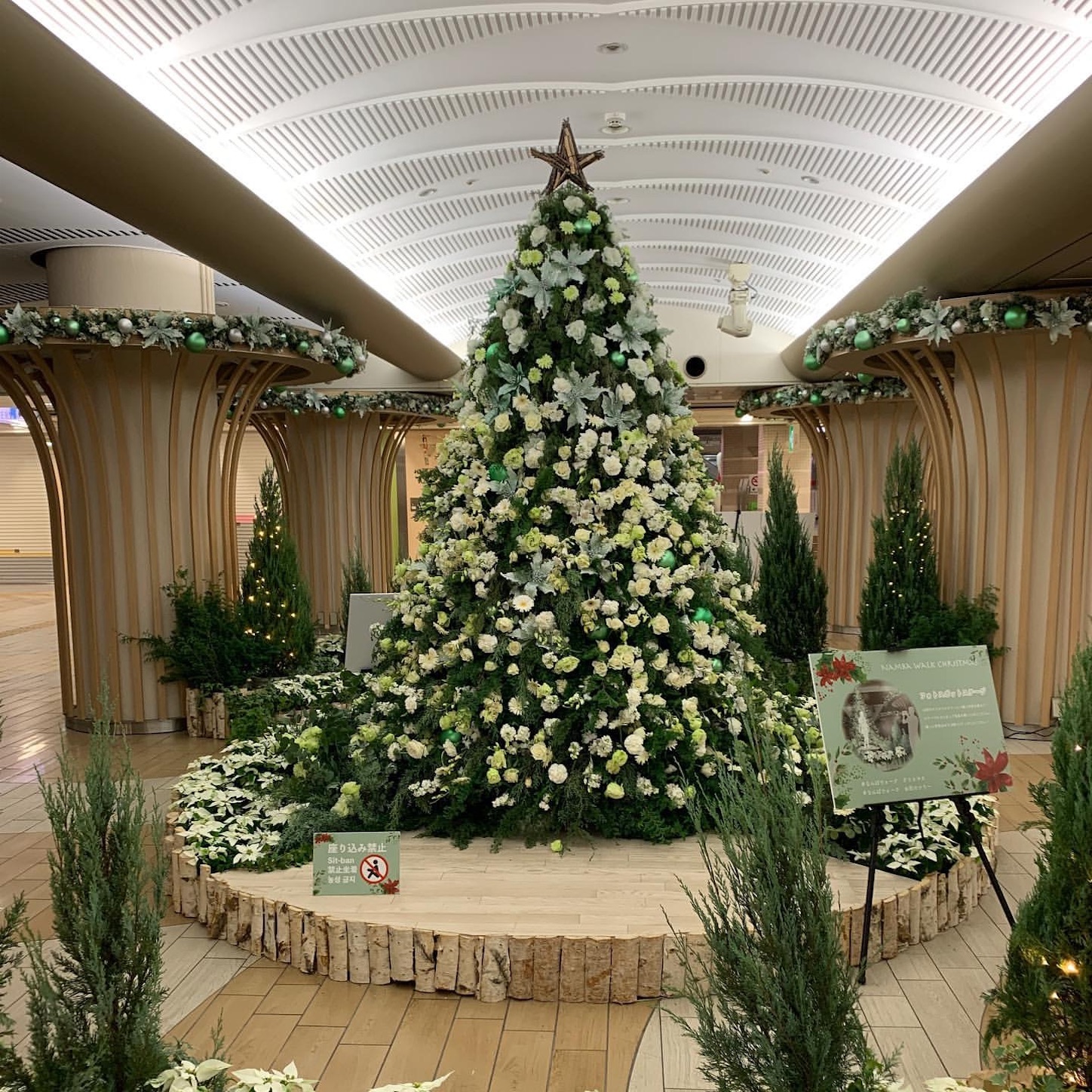 フォレストパークのクリスマスツリー