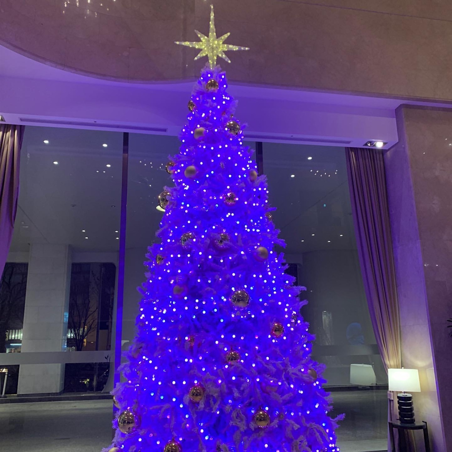 シュラトン都ホテル大阪のクリスマスツリー シュラトン都ホテル大阪のクリスマスツリー