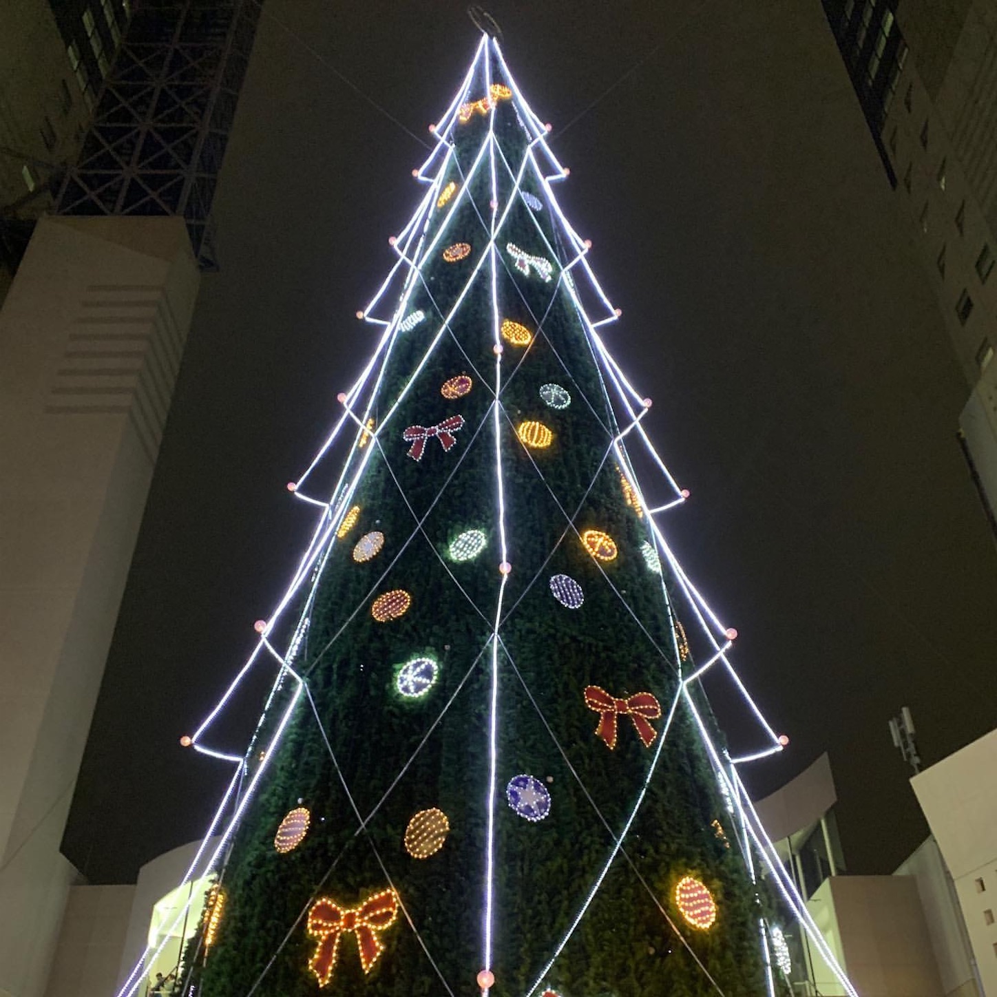 新梅田シティのクリスマスツリー 新梅田シティのクリスマスツリー
