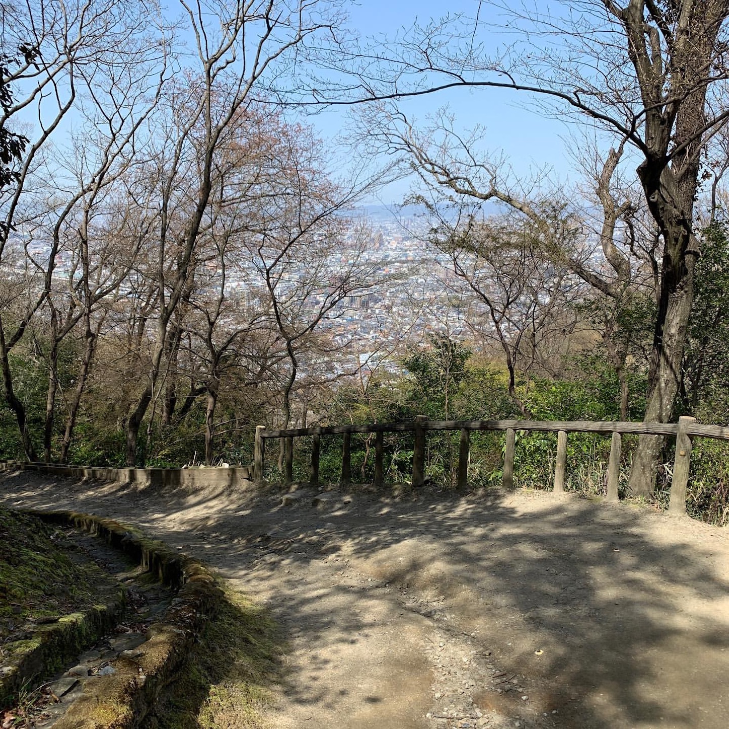 生駒山の登山道