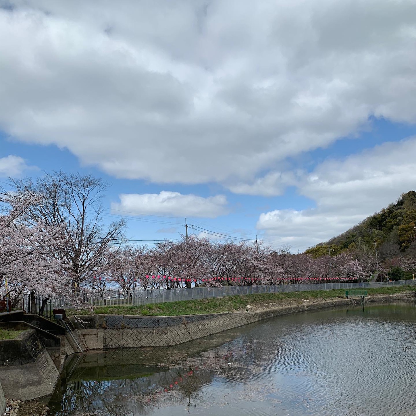 日下新池