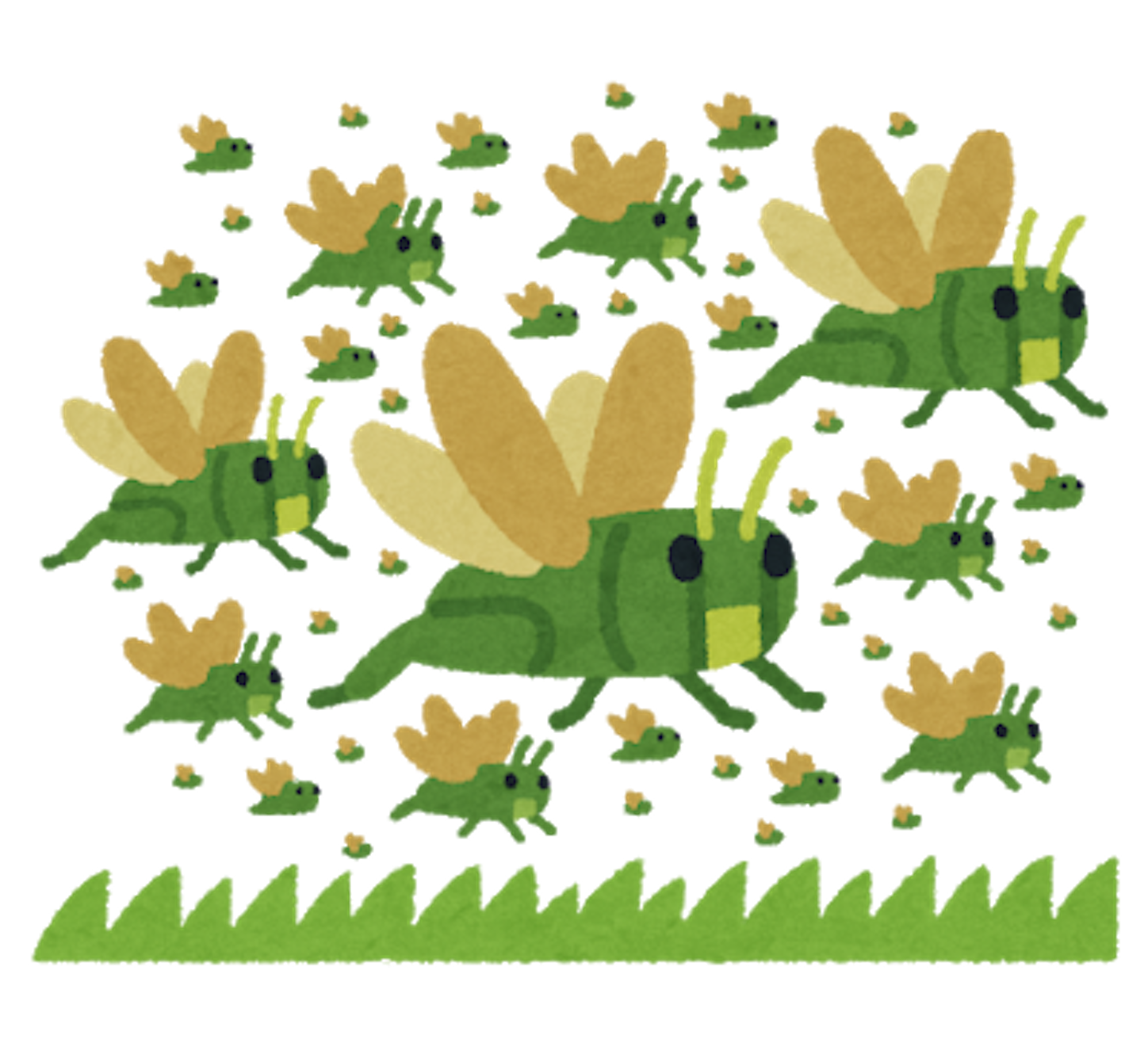 蝗害のイラスト