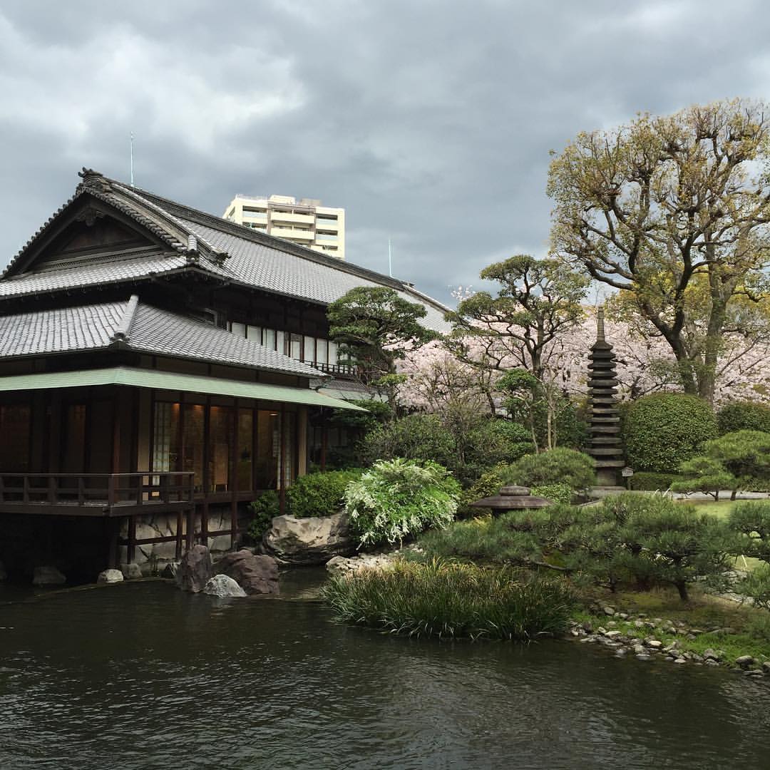 淀川邸の桜