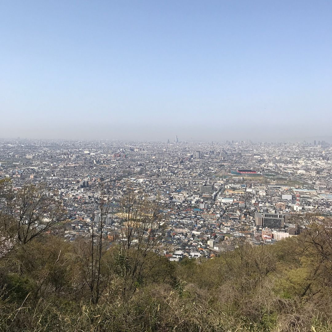 大阪平野 大阪平野