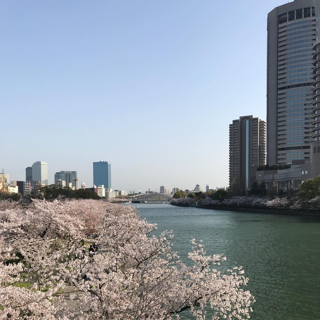 源八橋から大阪城方向 源八橋から大阪城方向