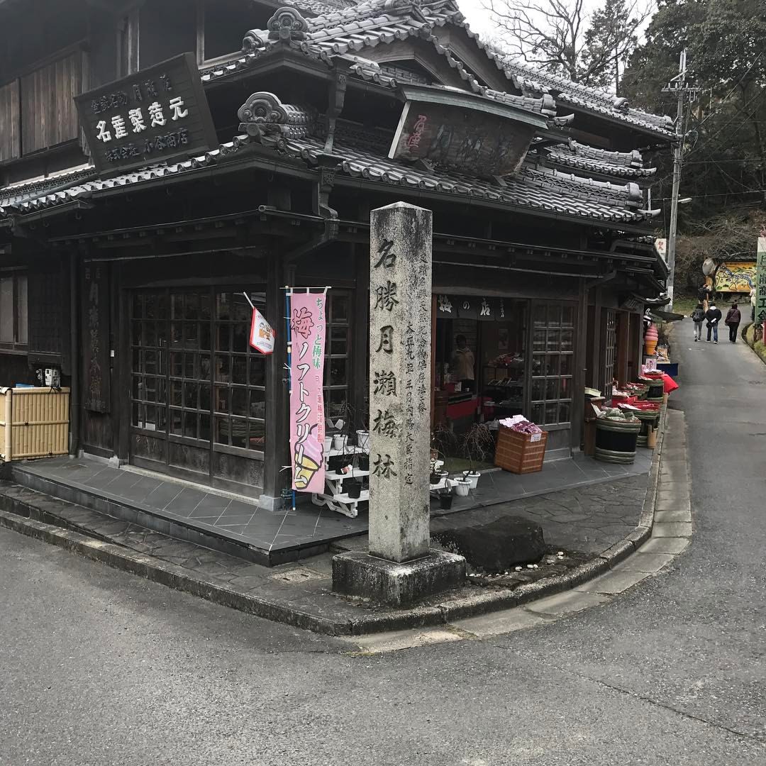 月ヶ瀬梅林
