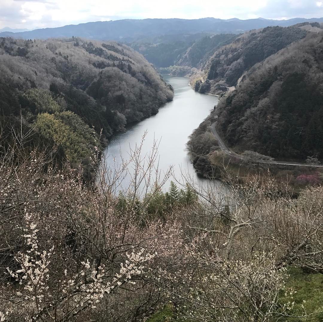 高山ダム