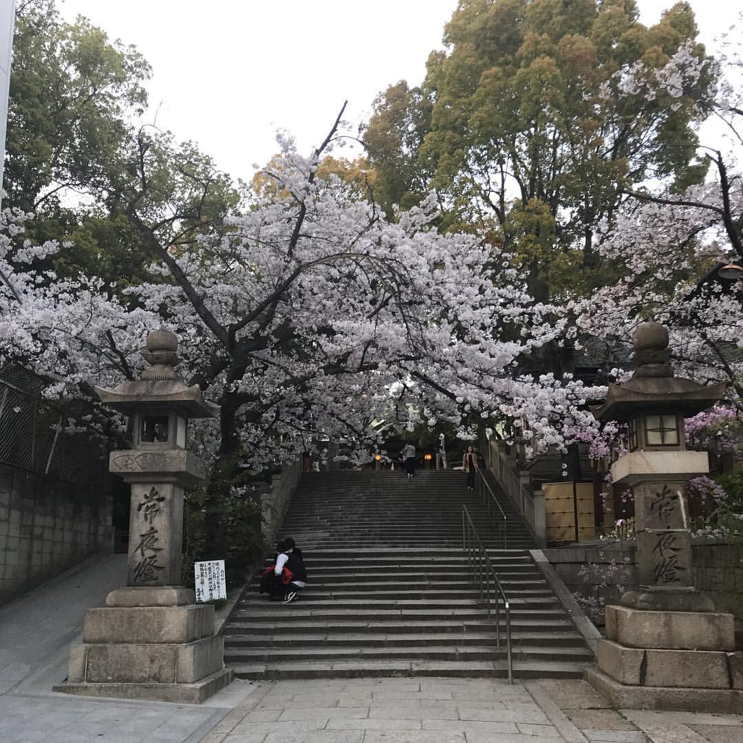 高津神社 高津神社