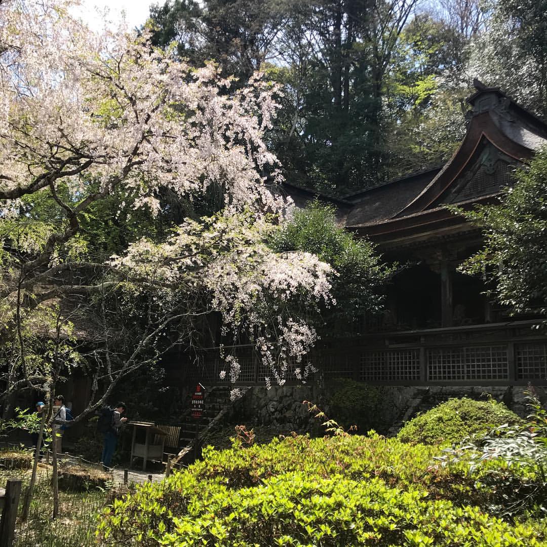 吉野水分神社 吉野水分神社