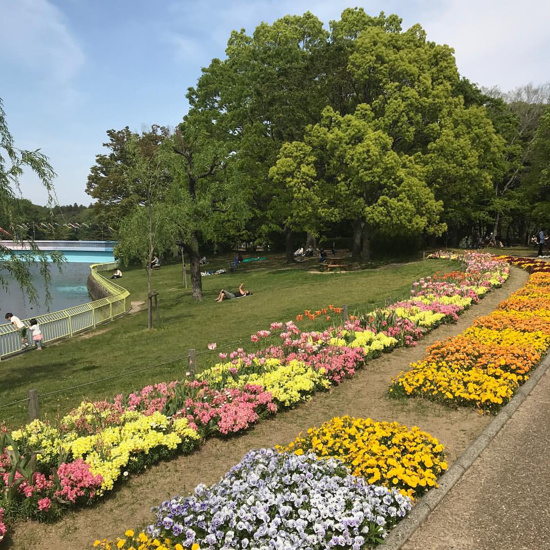 長居植物園の花１
