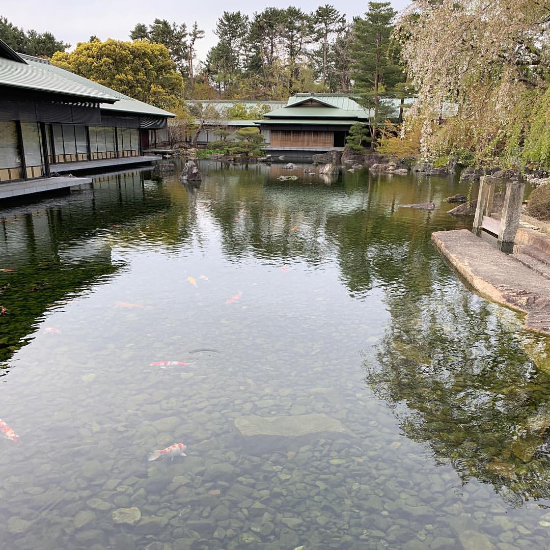 庭園 庭園