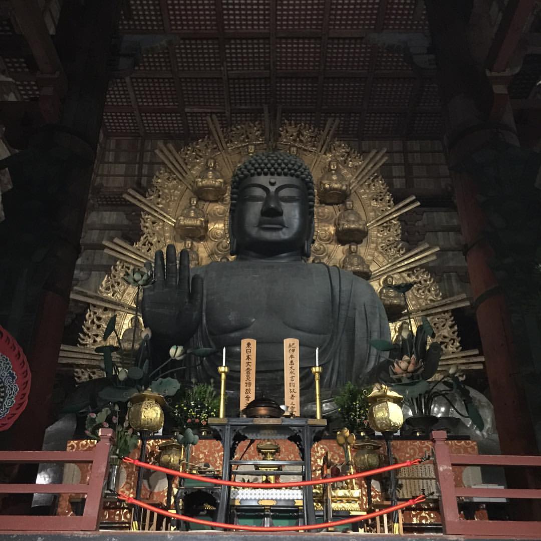 夜の大仏さま