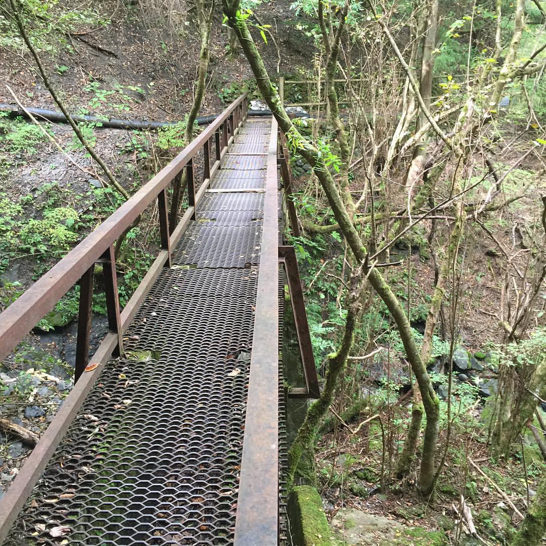 みたらい渓谷の遊歩道