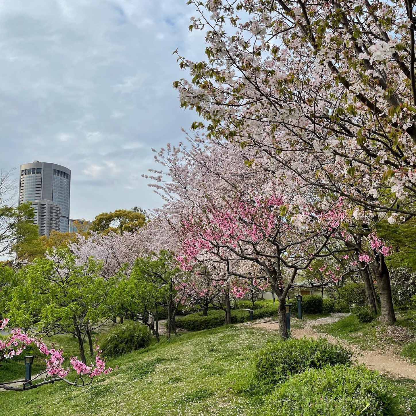 藤田邸跡公園
