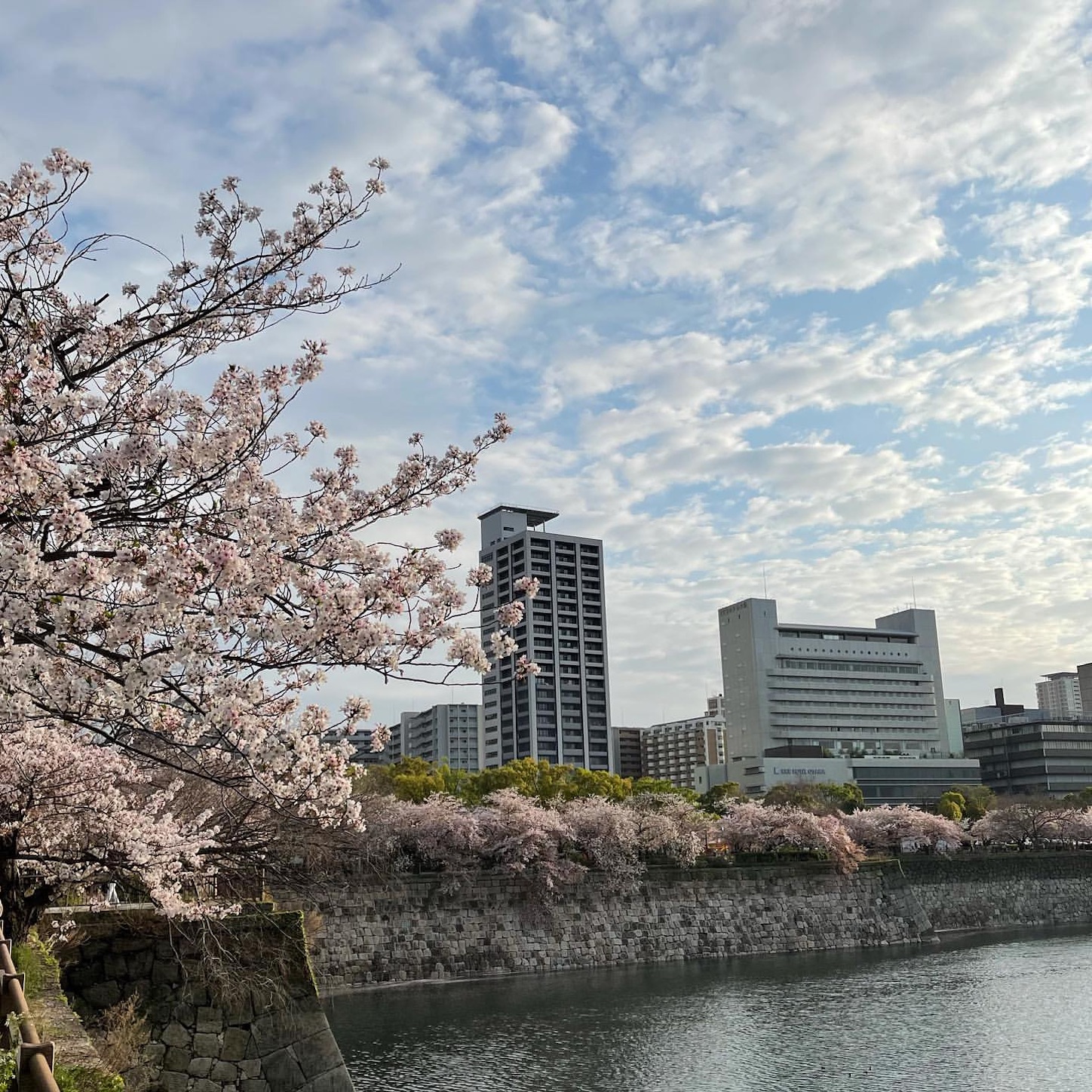 大阪城公園