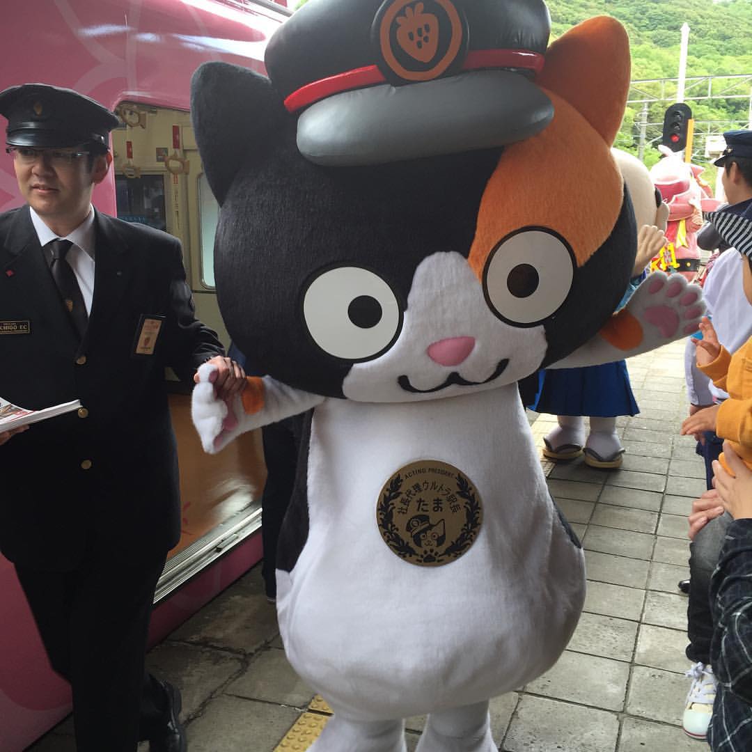 和歌山ゆかりのゆるキャラたち