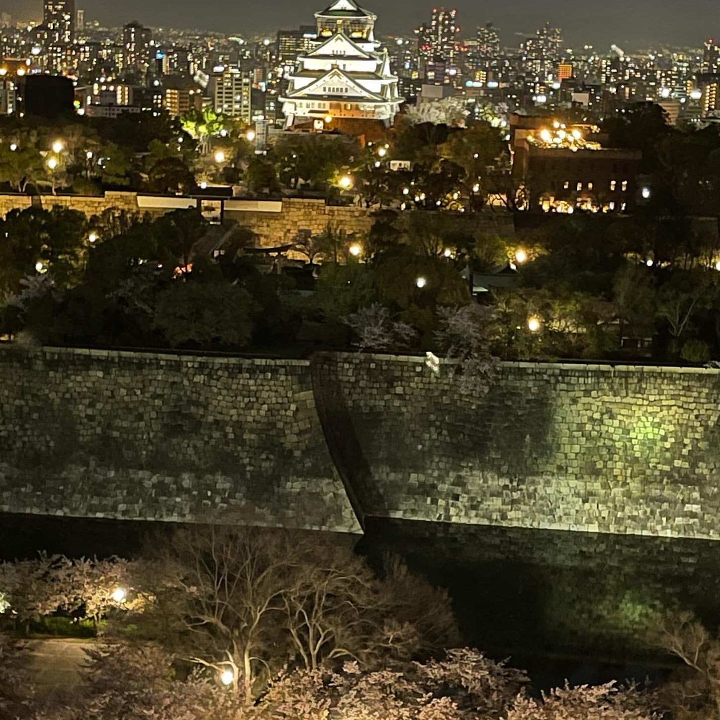 夜の大阪城公園