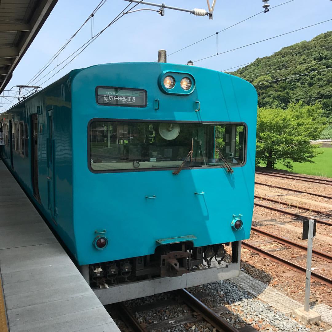 113系