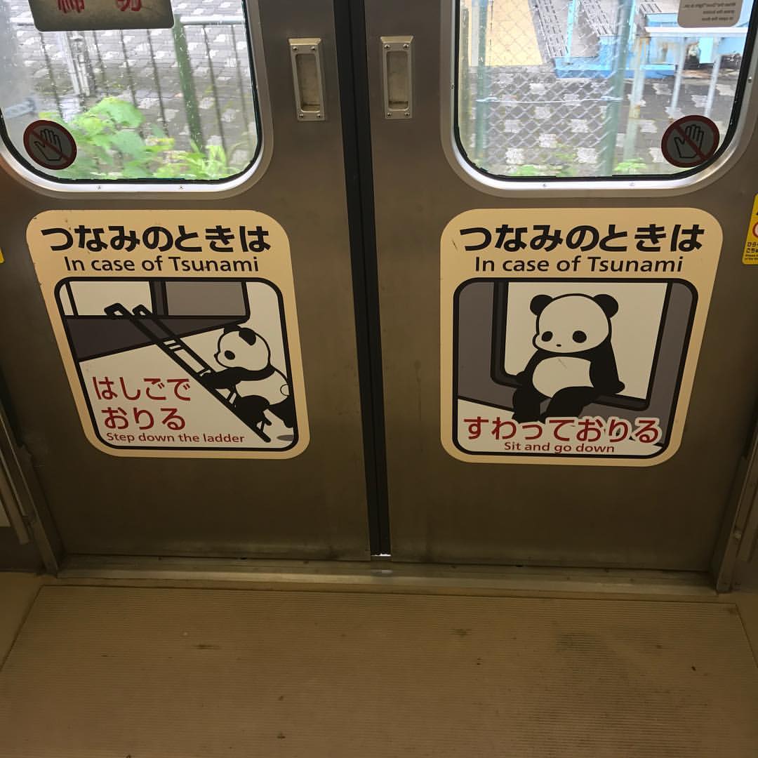きのくに線車内