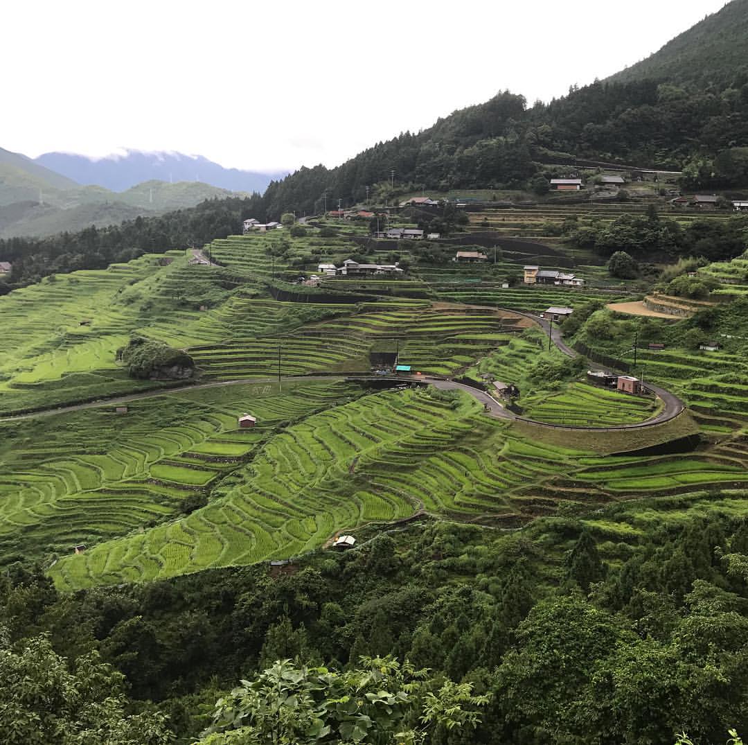 丸山の千枚田