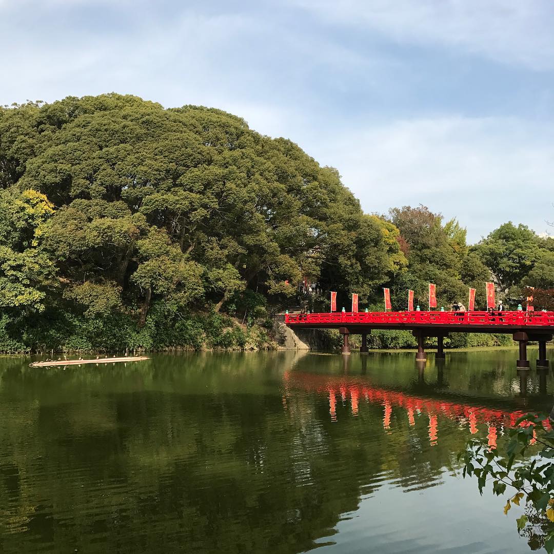 茶臼山古戦場跡