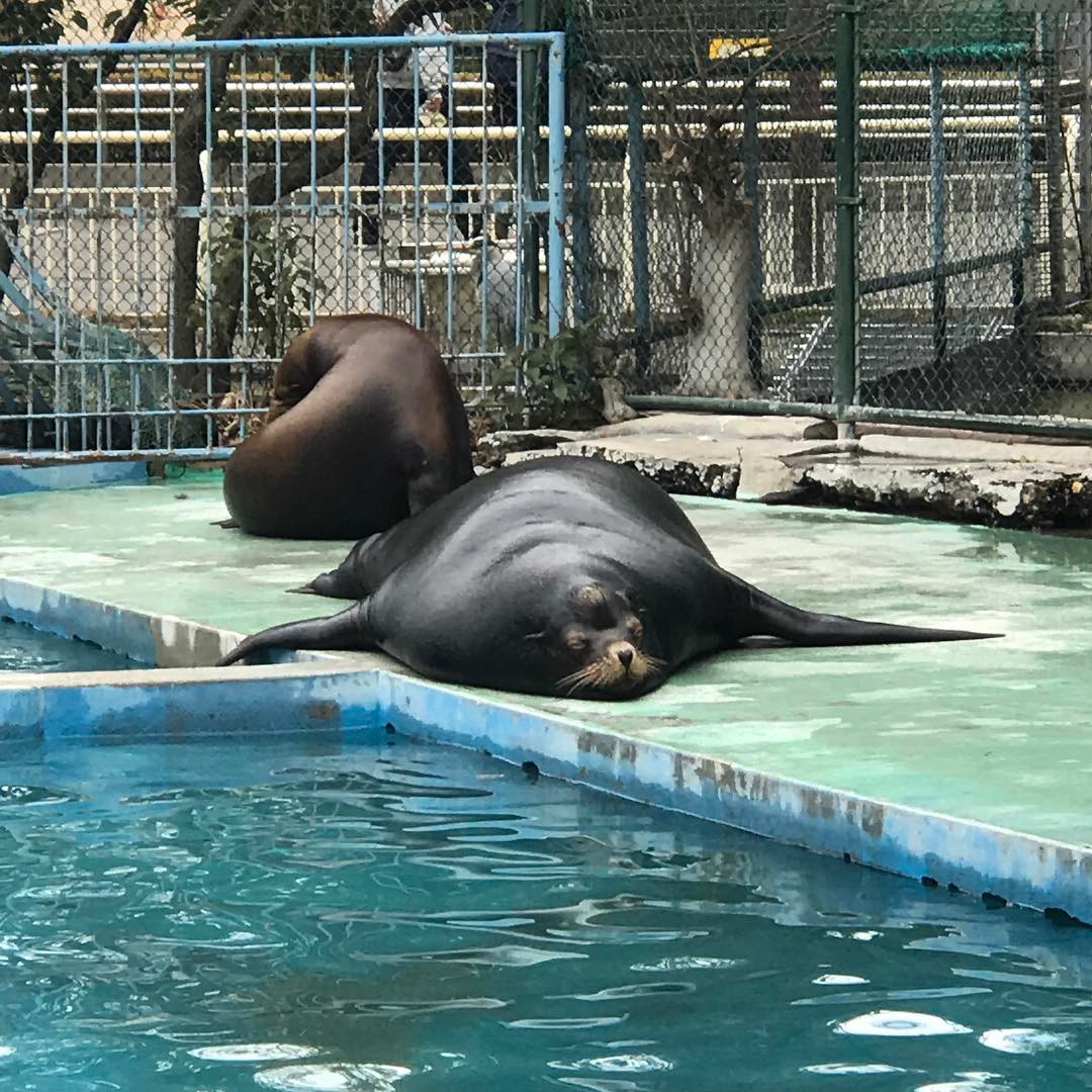 天王寺動物園 天王寺動物園